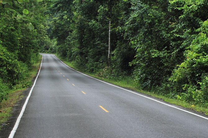 Khao Yai National Park Full-Day From Bangkok - Including Ticket - Lunch, Water, and Comfort on the Day