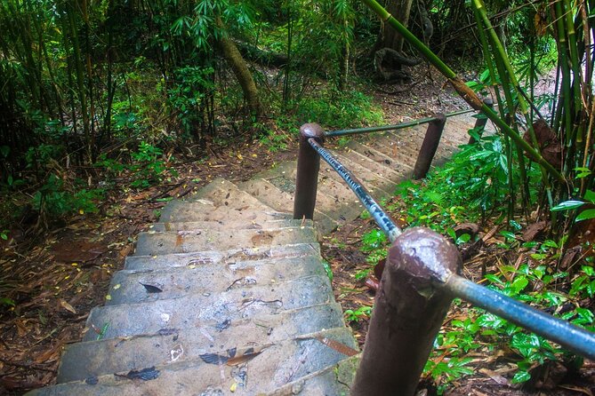 Khao Yai National Park Full-Day From Bangkok - Including Ticket - Is $78.27 Good Value?