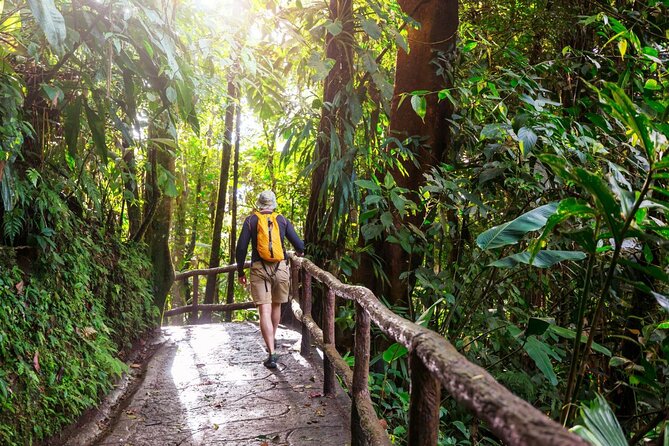 Khao Yai National Park Full-Day From Bangkok - Including Ticket - Hiking Khao Yai’s Forest Trails