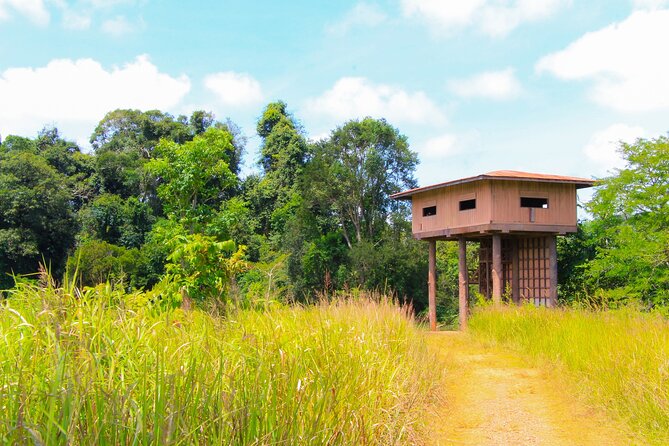 Khao Yai National Park Full Day - The three-hour walk on Nong Phak Chi Trail