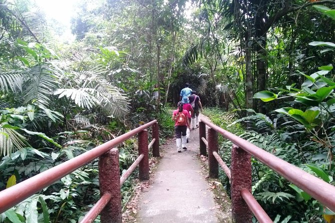 Khao Yai National Park Hiking Day Tour: Haew Narok and Haew Suwat - KM 30 Viewpoint and the ride back