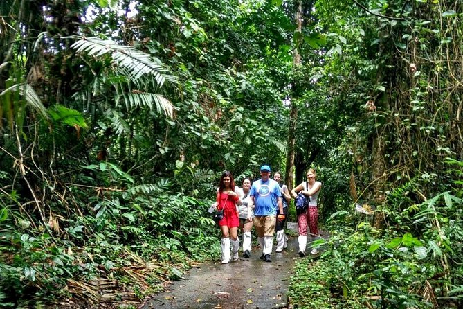Khao Yai National Park Hiking Day Tour: Haew Narok and Haew Suwat - Guides can make or break the drive