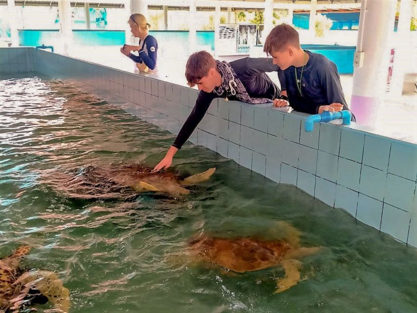 Khaolak: Bamboo Rafting, Waterfalls, and Turtle Conservation - Is $48 a fair price?