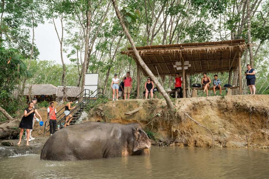 Khaolak: Elephant Sanctuary Guided Tour with Hotel Transfers - Key points at a glance