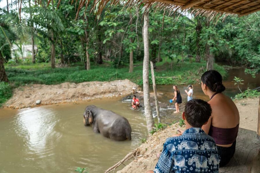 Khaolak: Elephant Sanctuary Guided Tour with Hotel Transfers - A short visit with a clear purpose