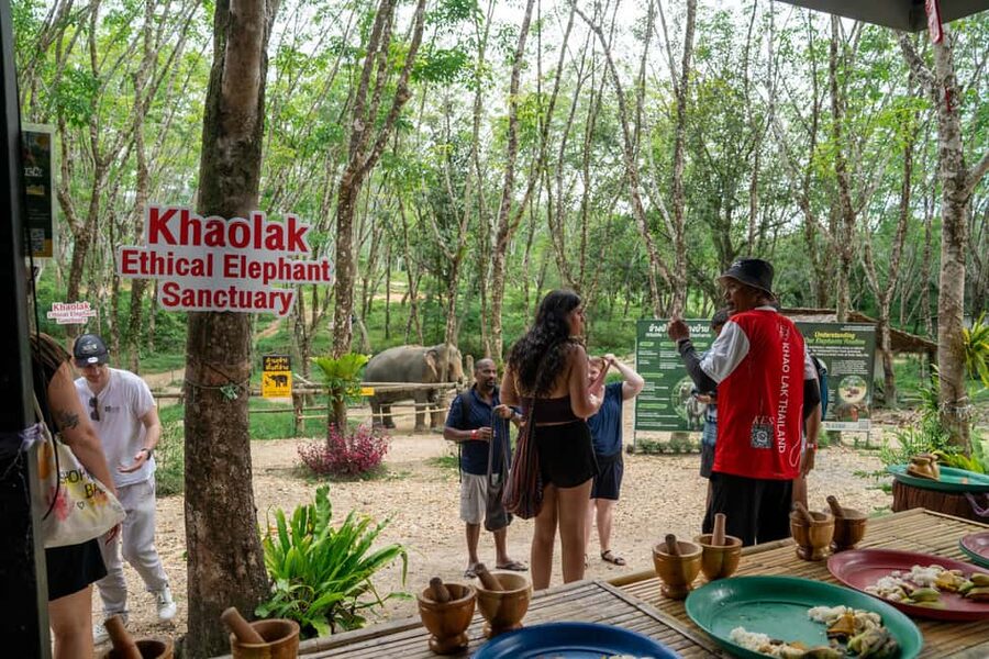 Khaolak: Elephant Sanctuary Guided Tour with Hotel Transfers - Watching elephants behave on their own terms