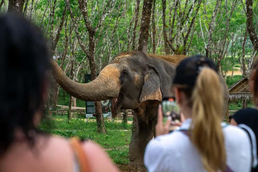 Khaolak: Elephant Sanctuary Guided Tour with Hotel Transfers - Conservation and sustainable practices