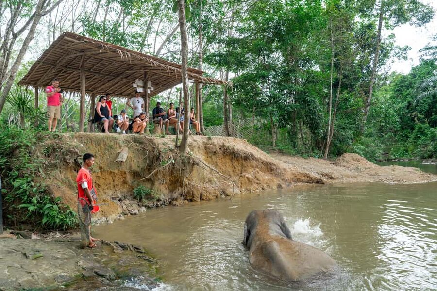 Khaolak: Elephant Sanctuary Guided Tour with Hotel Transfers - A warm introduction before meeting the elephants