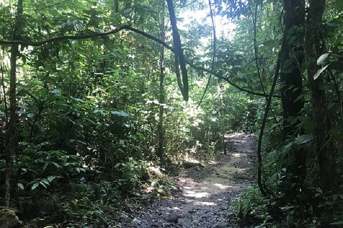 Khaosok Jungle Exploration from Khaolak - Who Will Enjoy This Day Most?