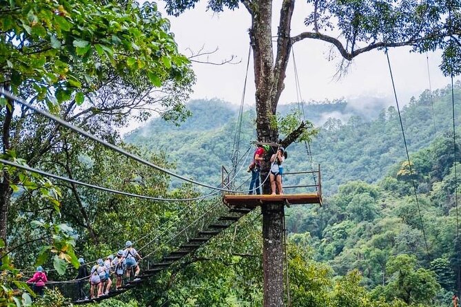 Kingkong Smile Zipline Adventure Tour From Chiang Mai - Who should book this Chiang Mai adventure?