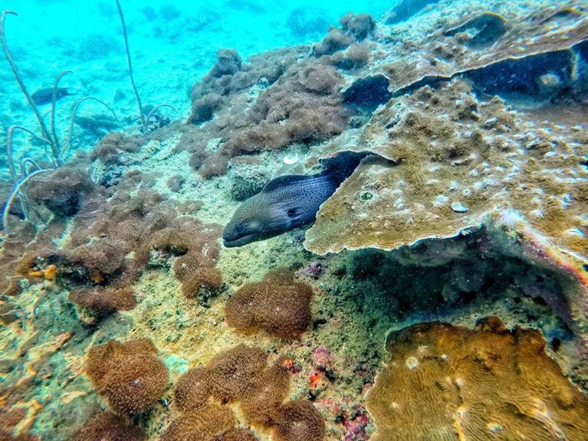 Ko Lanta: 4 Islands Snorkeling Tour by Longtail Boat - Key points to know before booking
