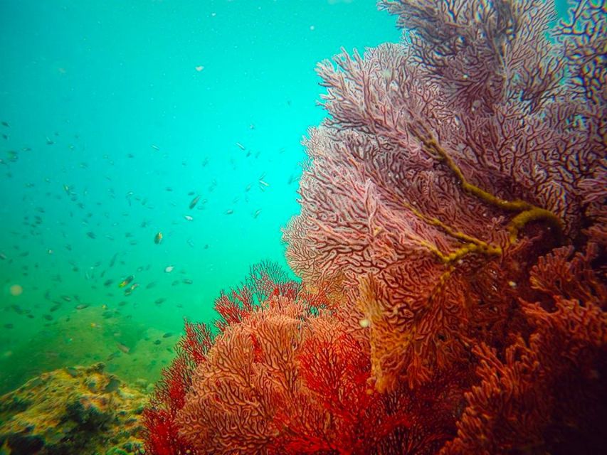 Ko Lanta: 4 Islands Snorkeling Tour by Longtail Boat - What to bring for a better day