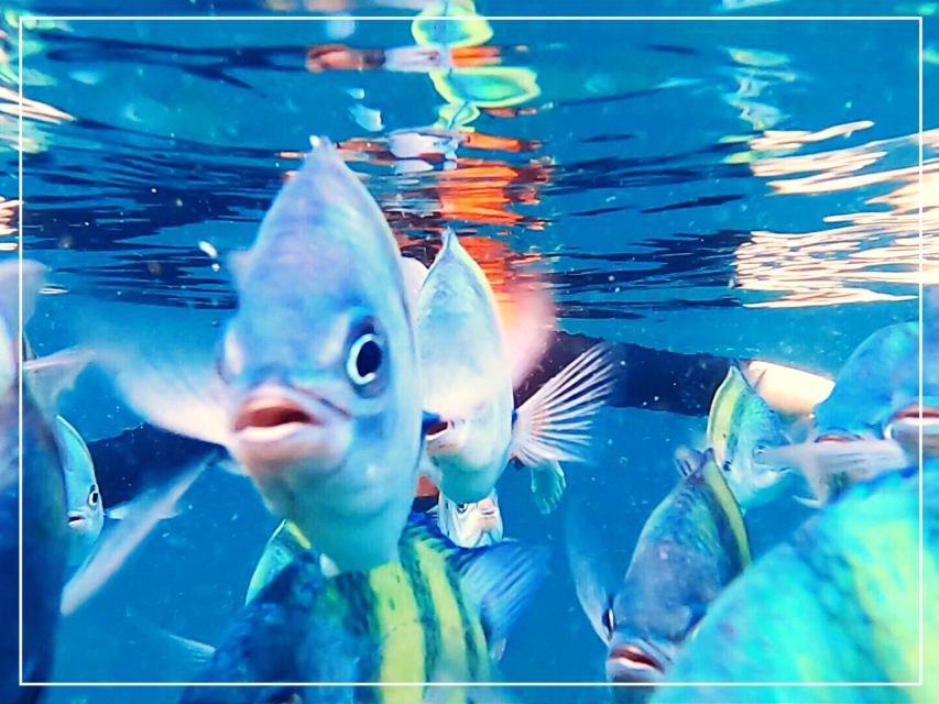 Ko Lanta: 4 Islands Snorkeling Tour by Longtail Boat - Group size, guides, and the feel of the boat