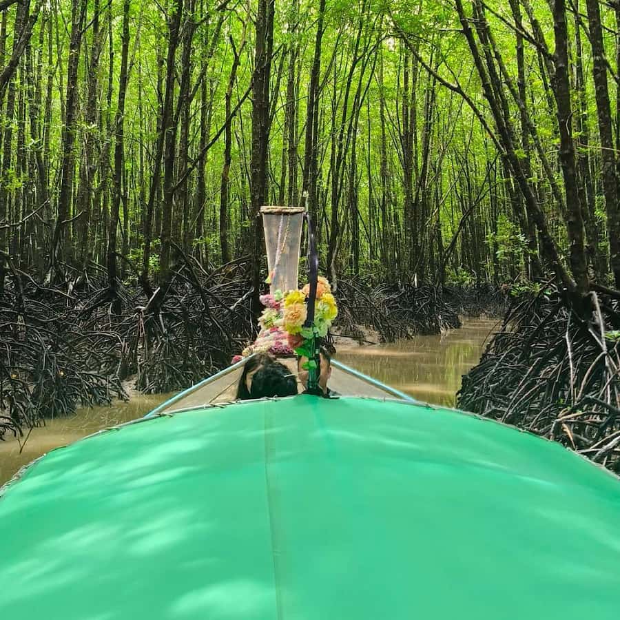Ko Lanta: EXPLORE MANGROVE TOUR BY LONGTAIL BOAT WITH LUNCH - Key points before you book