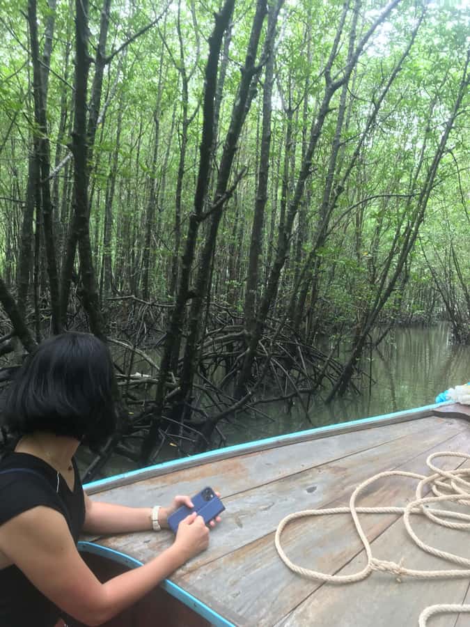 Ko Lanta: EXPLORE MANGROVE TOUR BY LONGTAIL BOAT WITH LUNCH - Meeting the mangrove monkeys