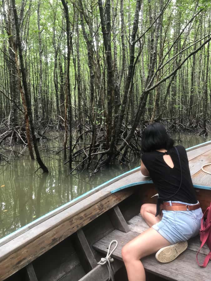 Ko Lanta: EXPLORE MANGROVE TOUR BY LONGTAIL BOAT WITH LUNCH - What the $28 price includes