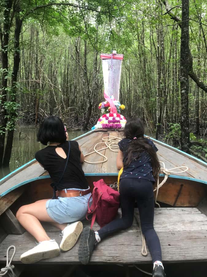 Ko Lanta: EXPLORE MANGROVE TOUR BY LONGTAIL BOAT WITH LUNCH - Practical tips for a smoother visit