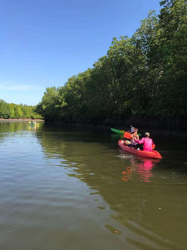 Ko Lanta: Half-Day Mangrove Kayaking Tour with Lunch - Should you book it?