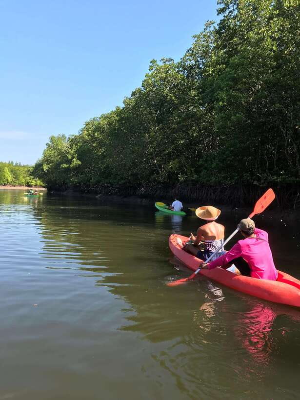 Ko Lanta: Half-Day Mangrove Kayaking Tour with Lunch - Why the Ban Thung Yee Peng mangroves are worth your time