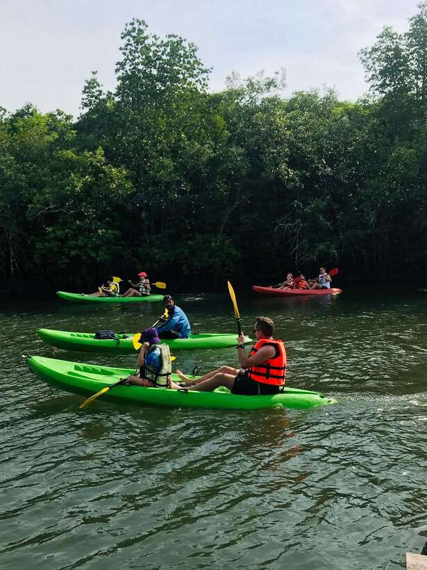 Ko Lanta: Half-Day Mangrove Kayaking Tour with Lunch - Lunch, fruit, and the real value of the $26 price
