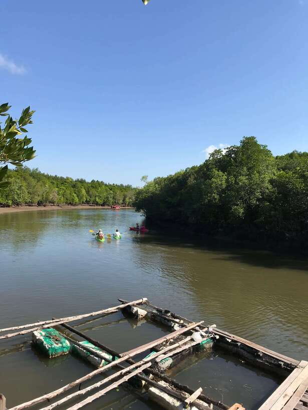 Ko Lanta: Half-Day Mangrove Kayaking Tour with Lunch - Morning or afternoon, and how weather changes the mood