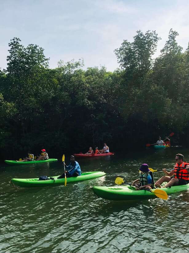 Ko Lanta: Half-Day Mangrove Kayaking Tour with Lunch - The guides are the tour’s strongest asset