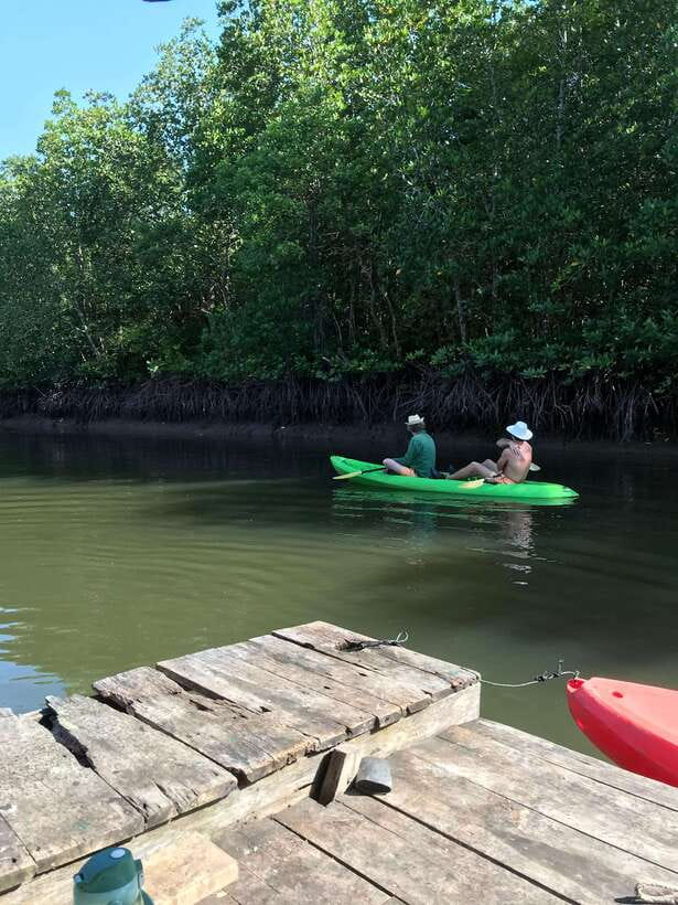 Ko Lanta: Half-Day Mangrove Kayaking Tour with Lunch - Mudskippers, fiddler crabs, and birds along the route