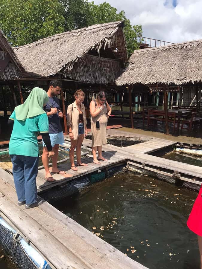 Ko Lanta: Half Day Tour Mangrove Boat Trip With Lunch - Booking Tips for a Smoother Trip