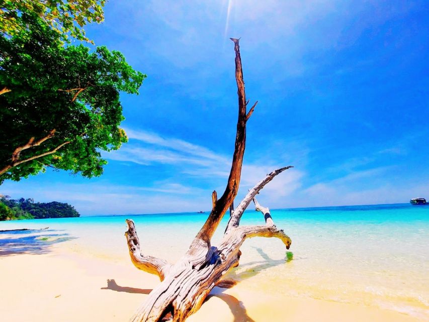 Ko Lanta: Koh Rok & Koh Haa Snorkelling Tour by Speedboat - Key points to know before booking