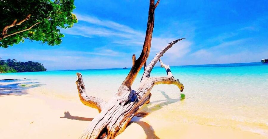 Ko Lanta: Koh Rok & Koh Haa Snorkelling Tour by Speedboat - Why Koh Haa and Koh Rok make a good pair