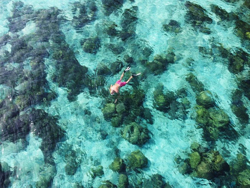 Ko Lanta: Koh Rok & Koh Haa Snorkelling Tour by Speedboat - What the $59 price includes