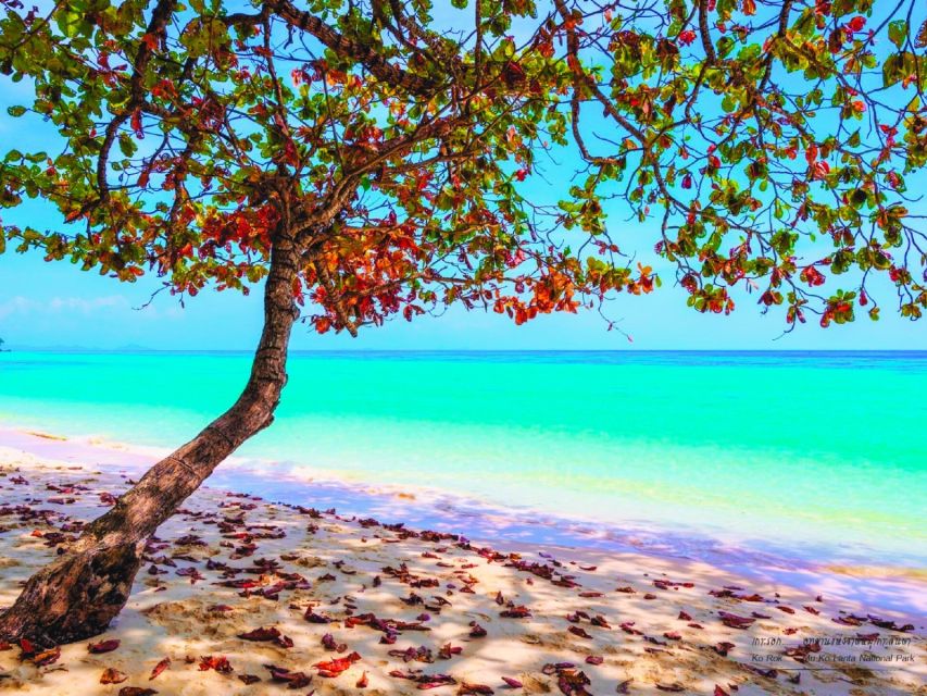 Ko Lanta: Koh Rok & Koh Haa Snorkelling Tour by Speedboat - Pickup from Ko Lanta starts early