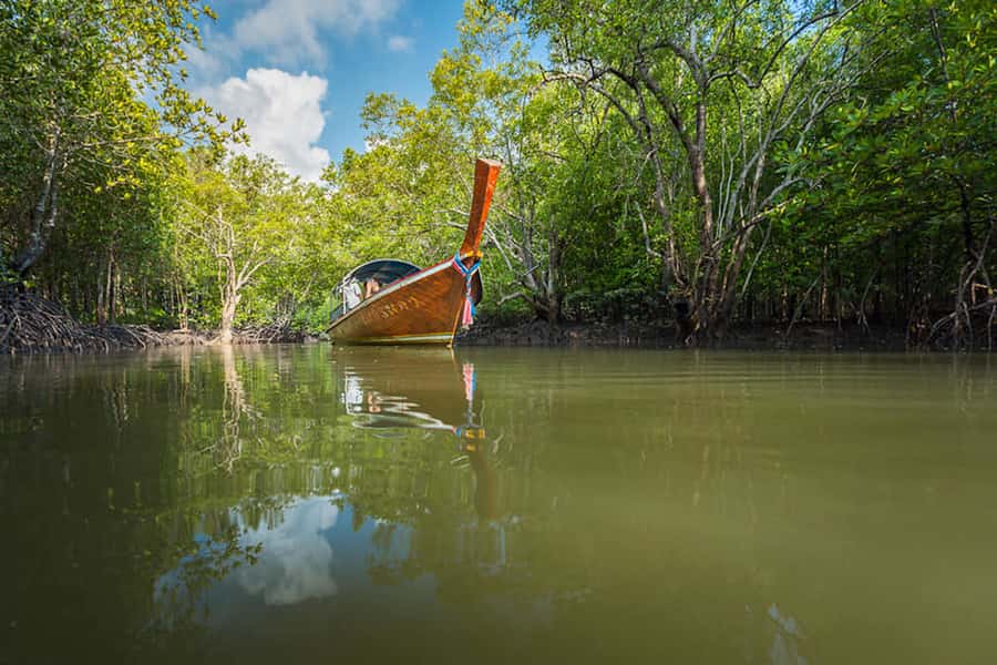 Ko Lanta: Mangrove Forest Boat Tour with Lunch or Dinner - Key points before you book