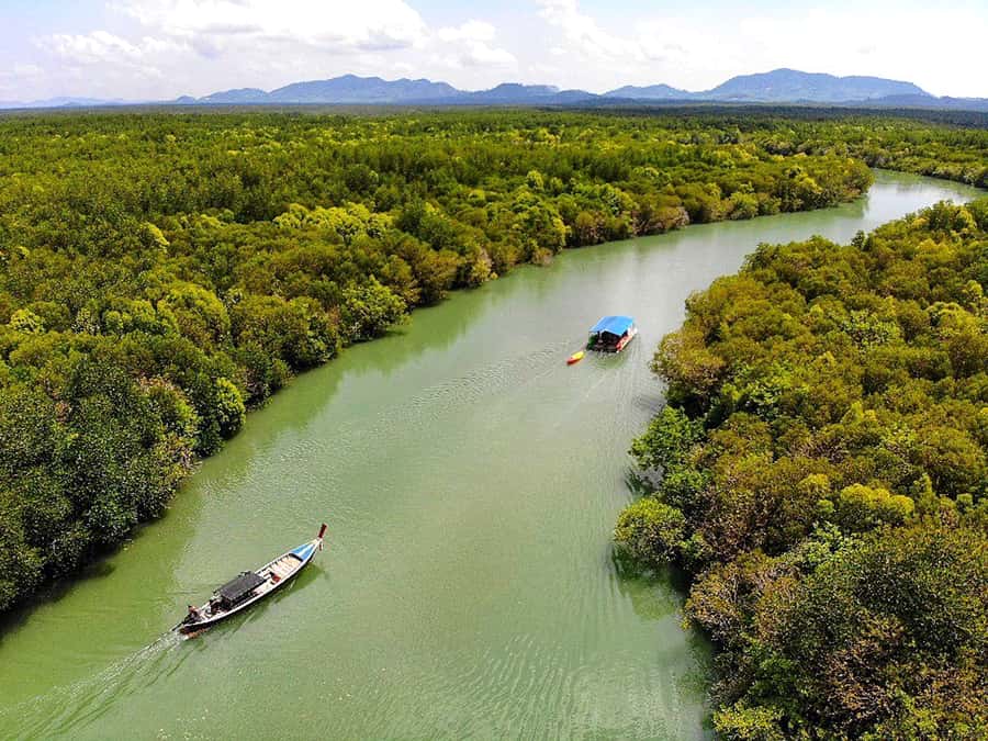 Ko Lanta: Mangrove Forest Boat Tour with Lunch or Dinner - Reaching Tung Yee Peng from your hotel