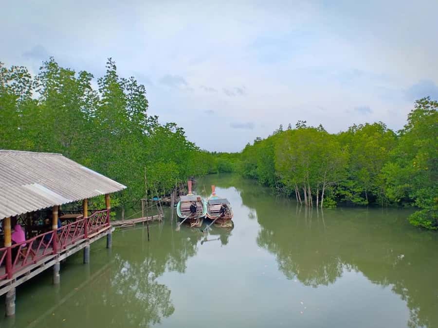Ko Lanta: Mangrove Forest Boat Tour with Lunch or Dinner - Comfort, clothing, and who should skip it