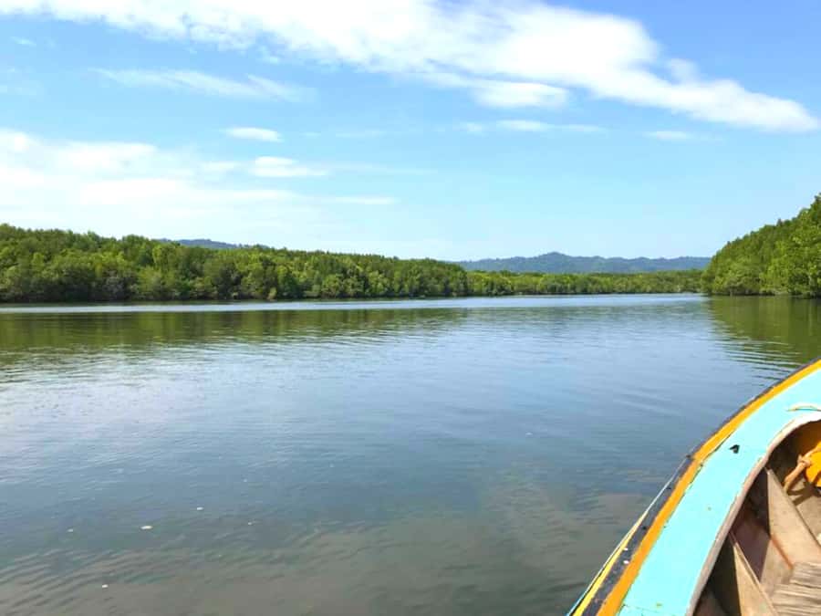 Ko Lanta: Mangrove Forest Boat Tour with Lunch or Dinner - Morning or afternoon: which should you choose?