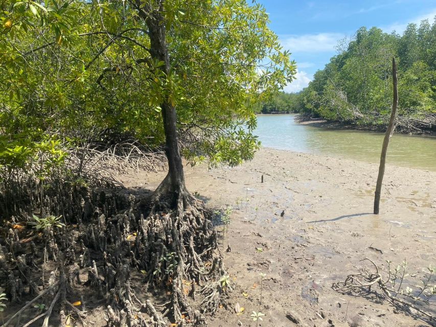 Ko Lanta: Mangrove Kayaking, Ko Talabeng, & Skull Island - How hard is the tour?