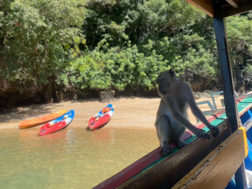 Ko Lanta: Mangrove Kayaking, Ko Talabeng, & Skull Island - Why this Ko Lanta day trip is different