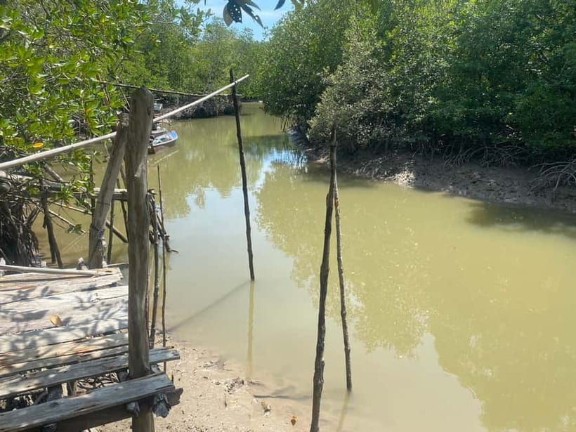 Ko Lanta: Mangrove Kayaking, Ko Talabeng, & Skull Island - The cave by kayak