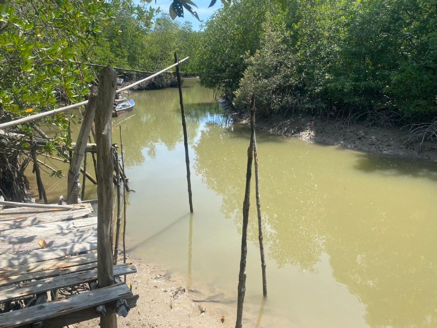 Ko Lanta: Mangrove Kayaking, Ko Talabeng, & Skull Island - Monkeys, birds, and the mangrove ecosystem