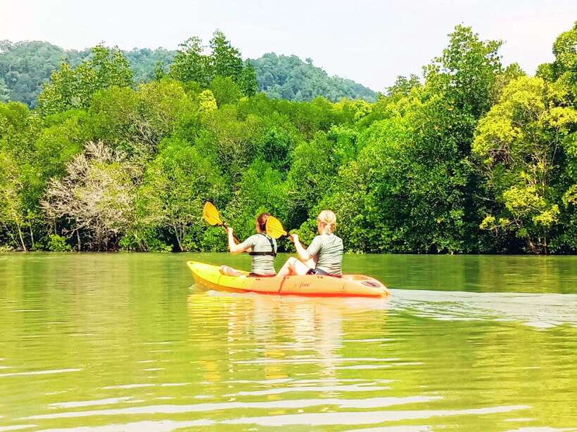 Ko Lanta: Mangrove Kayaking with Lunch and Hotel Transfer - Why Ko Lanta’s mangroves are worth your morning