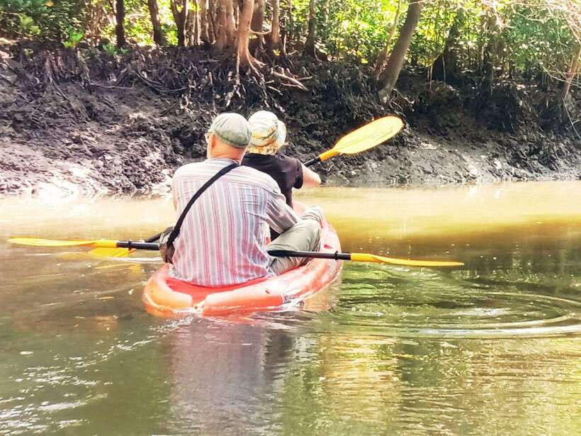 Ko Lanta: Mangrove Kayaking with Lunch and Hotel Transfer - Lunch, seasonal fruit, and what the $27 covers