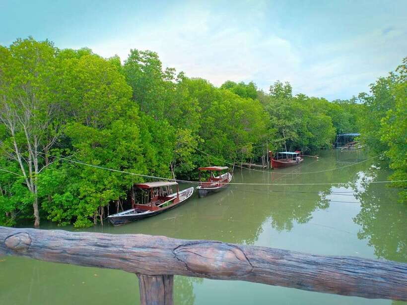 Ko Lanta: Mangrove Kayaking with Lunch and Hotel Transfer - Morning or afternoon: choosing the better departure