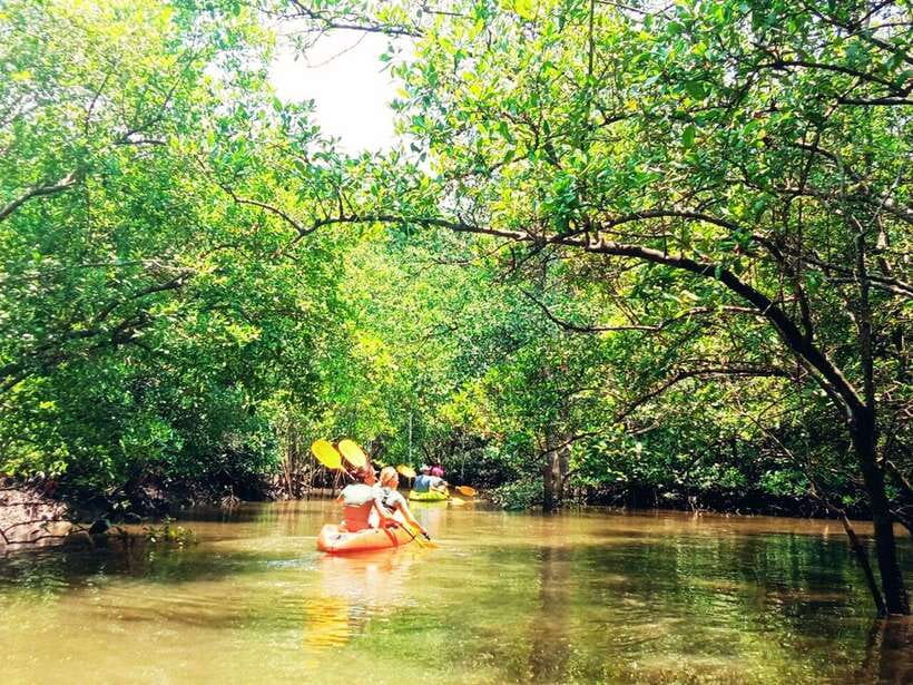 Ko Lanta: Mangrove Kayaking with Lunch and Hotel Transfer - Hotel pickup times across Ko Lanta