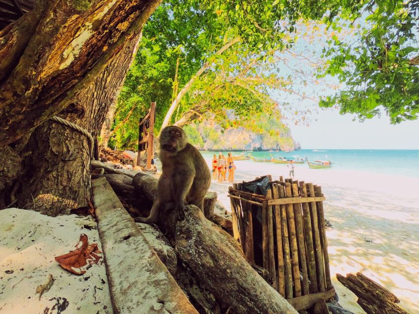 Ko Lanta: Phi Phi Day Trip by Speed Boat - Monkey Beach depends on tide and timing