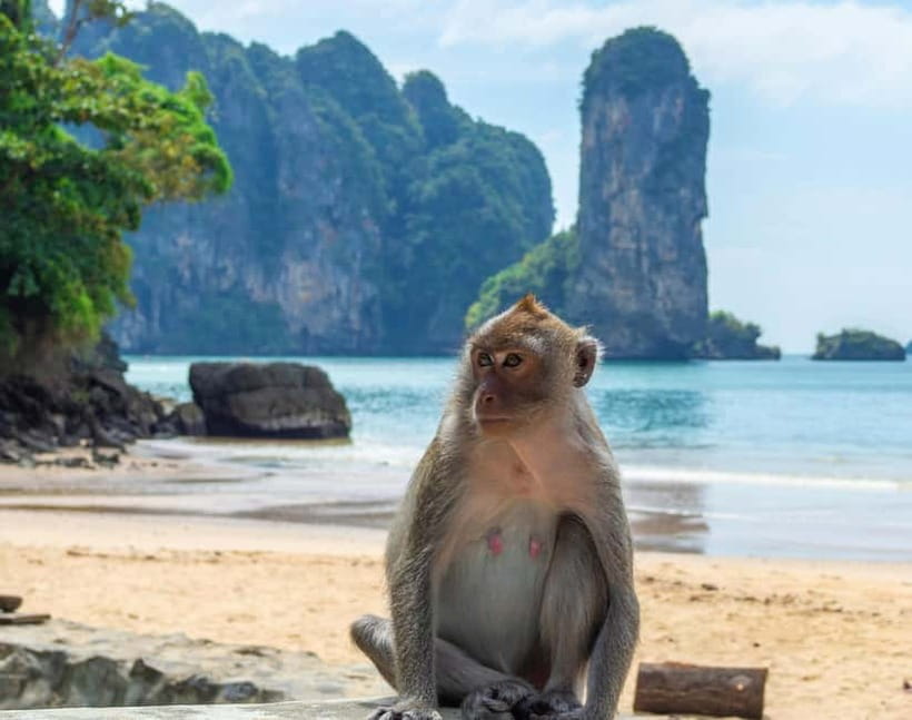 Ko Lanta: Private Exploration– Mangroves, Old Town & Beaches - Bamboo Beach: Your Best Chance to Slow Down