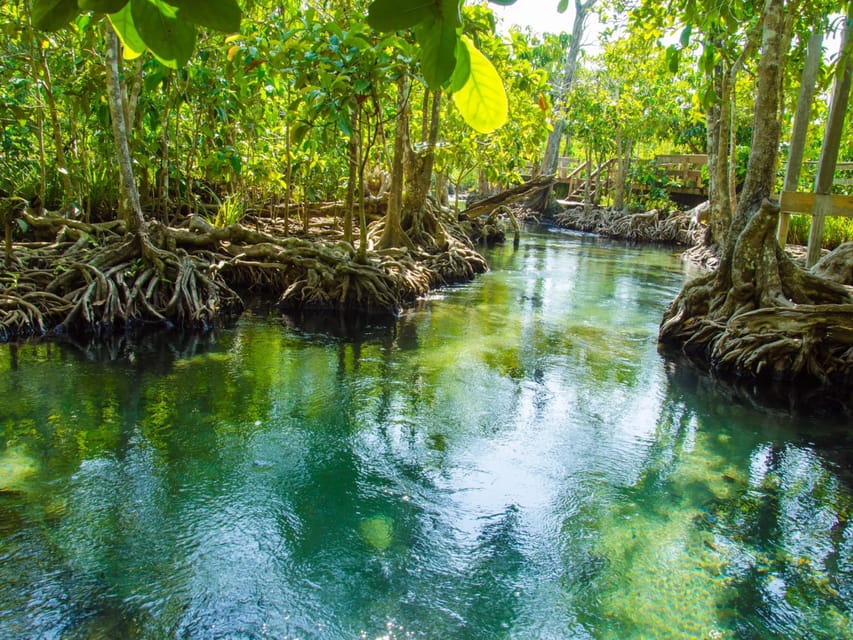 Ko Lanta: Private Exploration– Mangroves, Old Town & Beaches - What to Pack for Eight Hours Outside