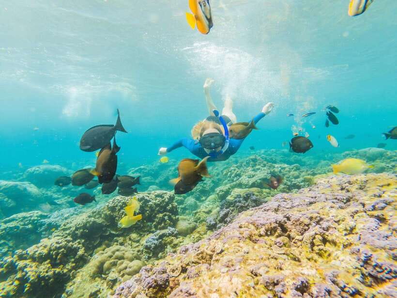 Ko Lanta: Snorkeling Adventure Tour to Koh Rok and Koh Haa - Returning Through Saladan