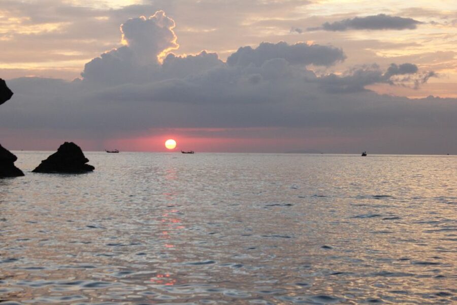 Ko Phi Phi Don: Speedboat Day Trip with Shark Snorkeling - A second snorkeling stop and the turtle question