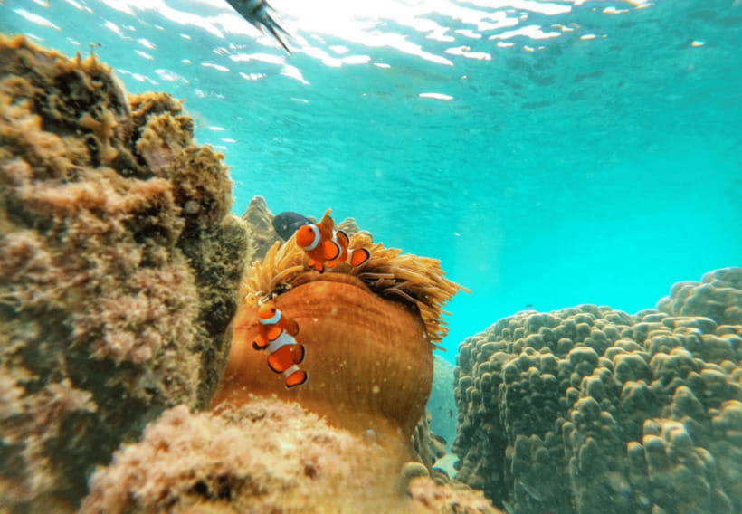 Ko Samet: 5 or 6 Islands Snorkeling Tour with Lunch Option - Koh Khame and Koh Krawai reveal the sea split